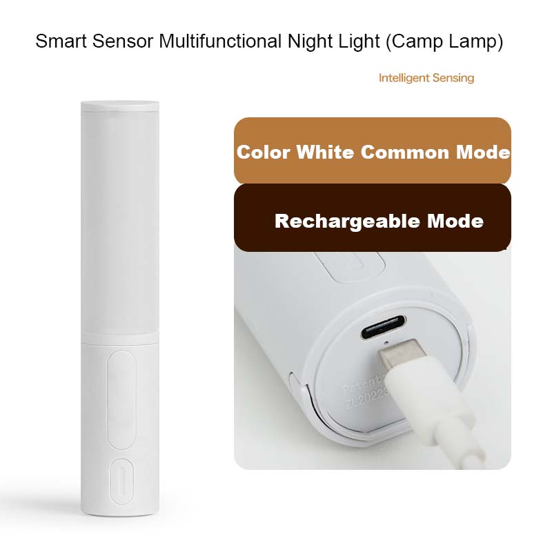 New Style Smart Human Body Induction Motion Sensor LED Night Light - Decoravibe